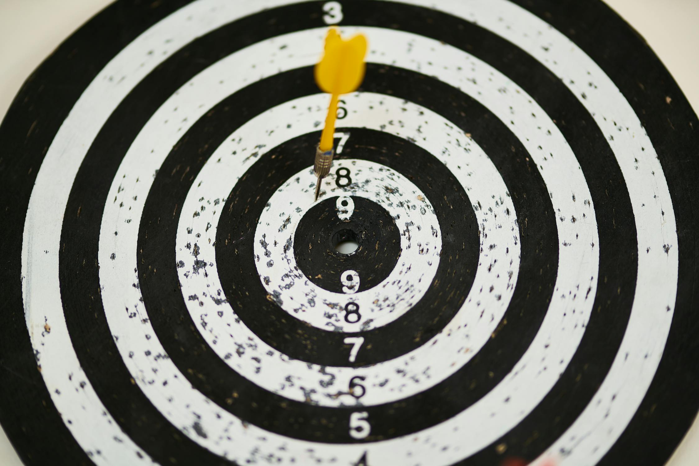 Black and White Dartboard
